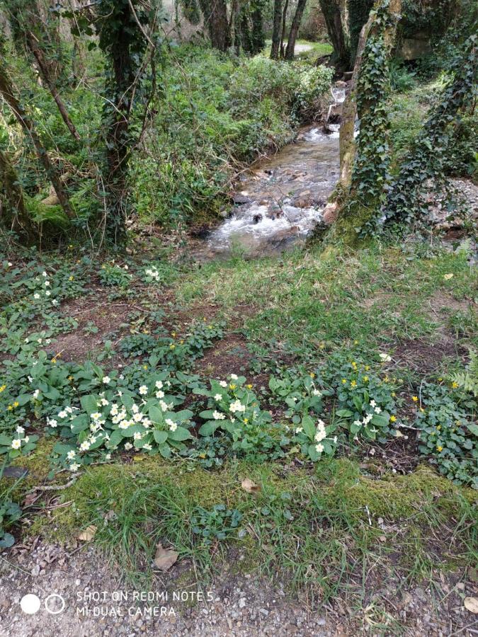 Costa Da Morte "Paraiso De Galicia" Ponteceso Eksteriør billede